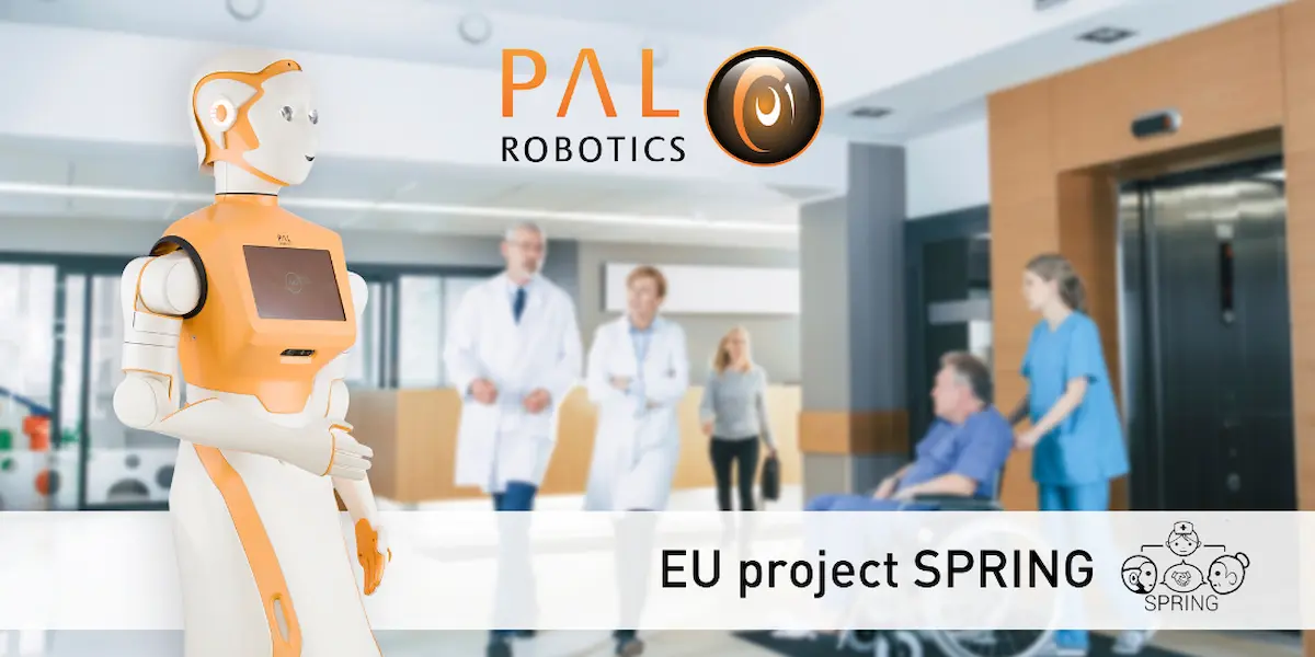 The humanoid social robot ARI during the European Project SPRING