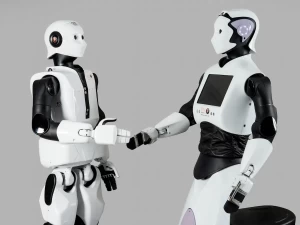 The two humanoid robots REEM and REEM-C shaking hands