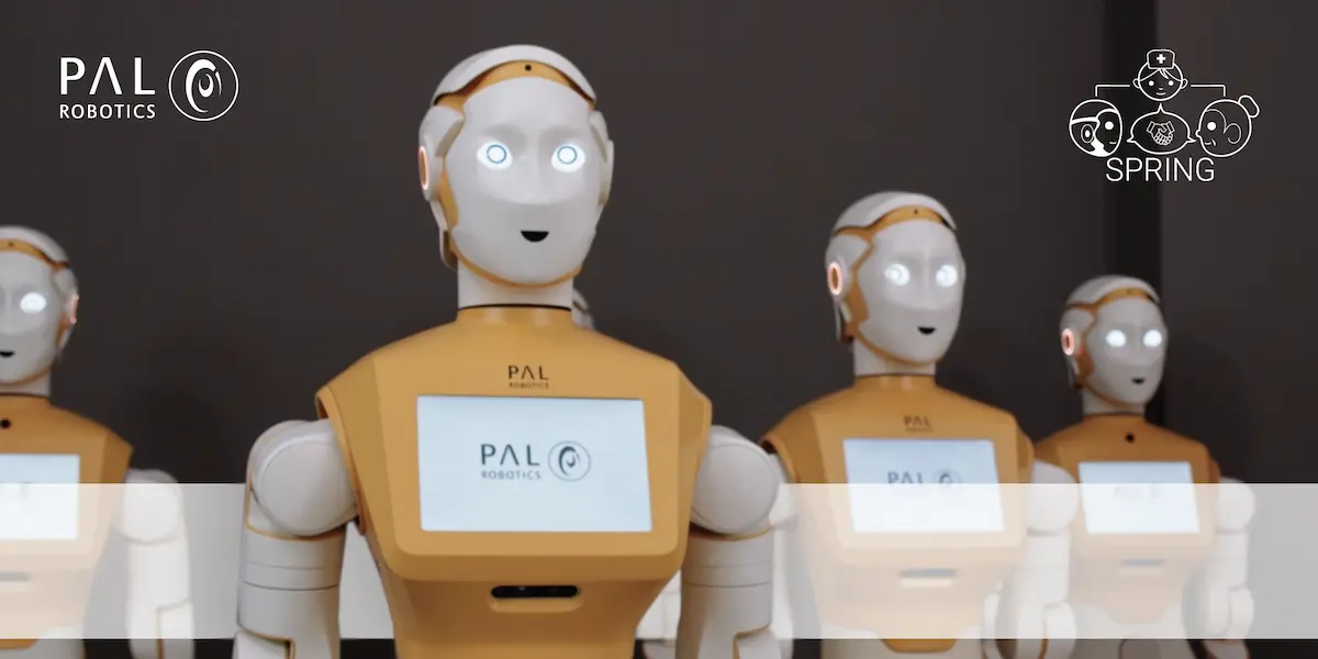 The humanoid social robot ARI for Project SPRING