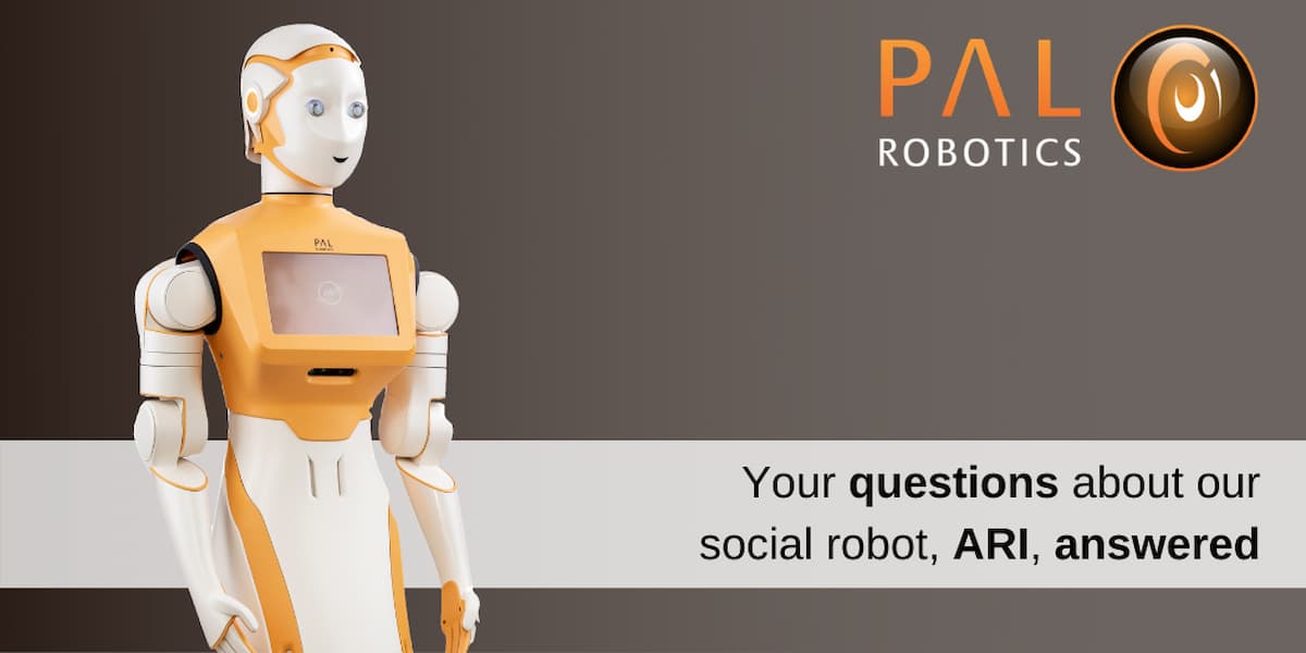 The social robot ARI